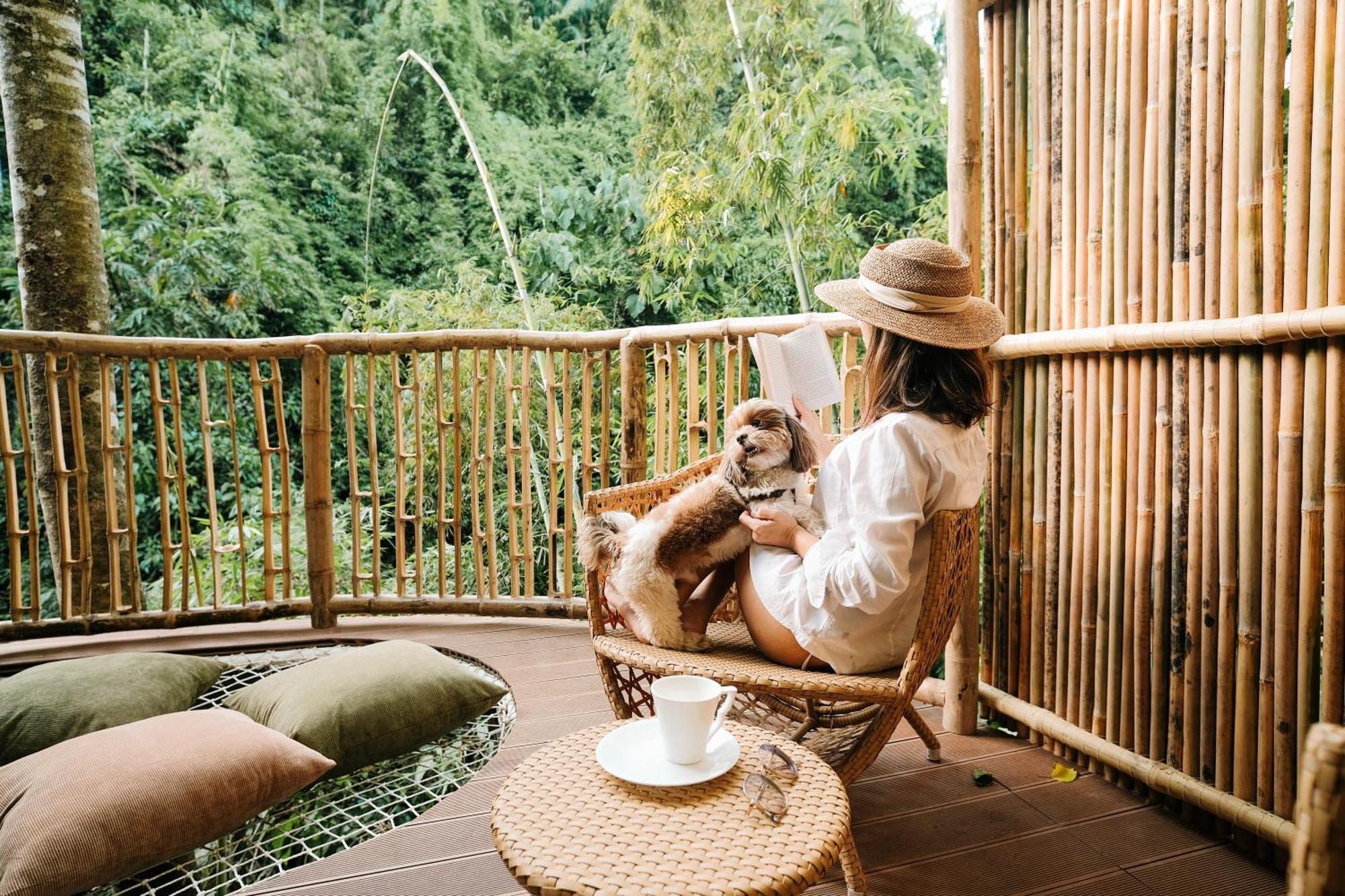 Treehouse De Valentine Βίλα Balamban Εξωτερικό φωτογραφία
