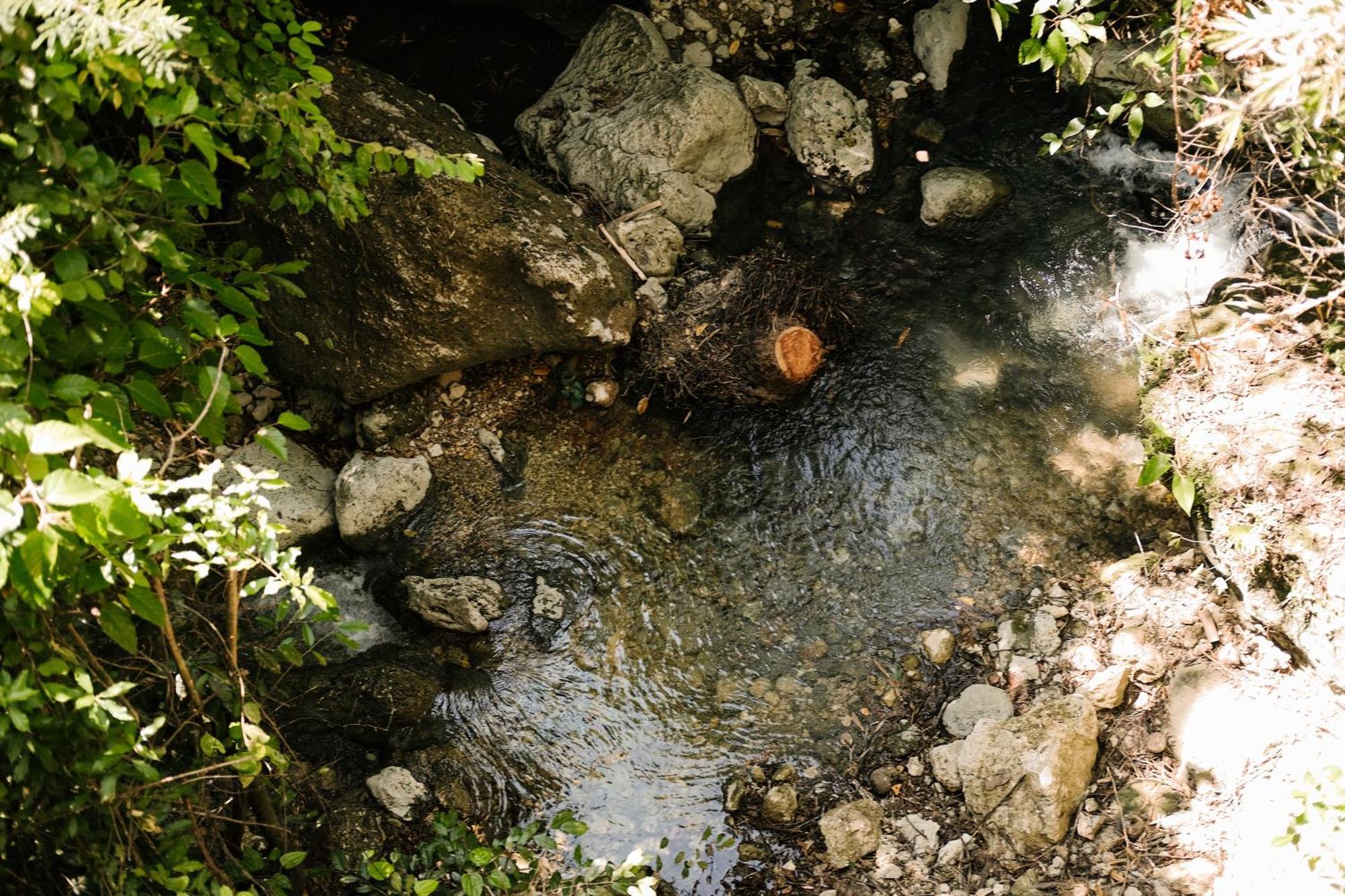 Treehouse De Valentine Βίλα Balamban Εξωτερικό φωτογραφία